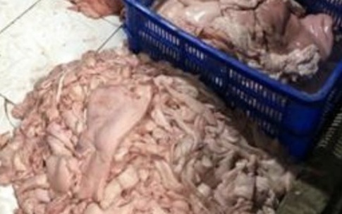 Phát hiện 1,4 tấn thịt heo bốc mùi hôi thối chuẩn bị mang đi nhà hàng, quán cơm ở TP.HCM tiêu thụ