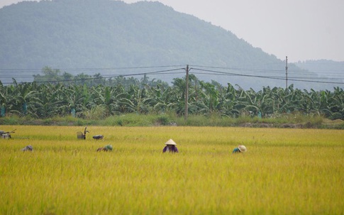 Chủ tịch xã tử vong trong tư thế treo cổ tại nhà riêng