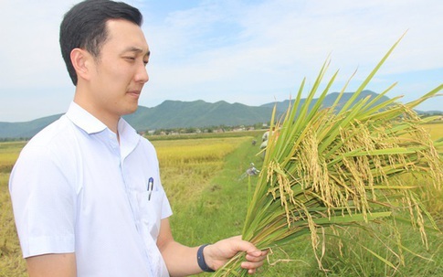 9X bỏ việc an nhàn về quê chế biến gạo, thu trăm tỷ đồng mỗi năm