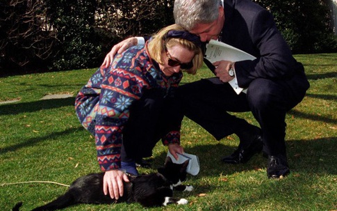 Chú mèo đầu tiên ở Nhà Trắng sau một thập kỷ