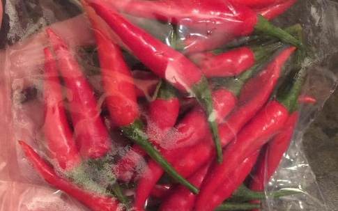 Thích "cây nhà lá vườn", đôi vợ chồng trẻ chi hơn 6 triệu để trồng ớt cuối cùng nhận cái kết đắng, dân tình cười sằng sặc: Đi mua đủ ăn 11 năm!