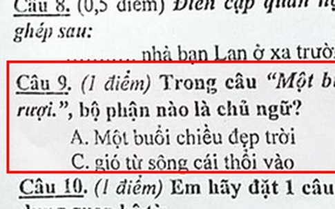 Đề bài Tiếng Việt tìm chủ ngữ trong câu, lắt léo đến mức cư dân mạng tranh cãi kịch liệt