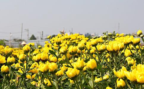 Người tình 'cắm sừng' tôi, cặp kè cùng đồng nghiệp
