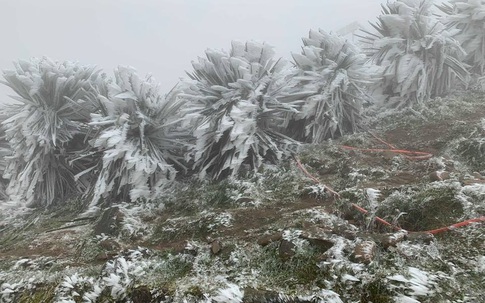 Không khí lạnh tiếp tục tăng cường, miền Bắc rét hại kéo dài