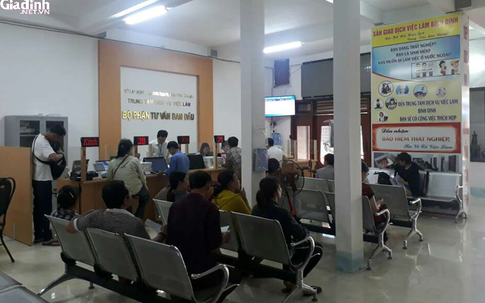 TTDVVL Bình Định: Đảm bảo quyền lợi tối ưu cho lao động thất nghiệp