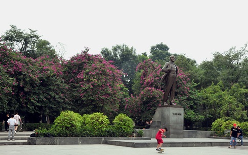 Hà Nội: Hoa ban nở đỏ rực quanh tượng đài Lê Nin