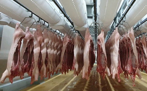 Phát hiện virus SARS-CoV-2 trên bao bì thực phẩm đông lạnh, Hà Nội yêu cầu siết chặt khâu kiểm soát