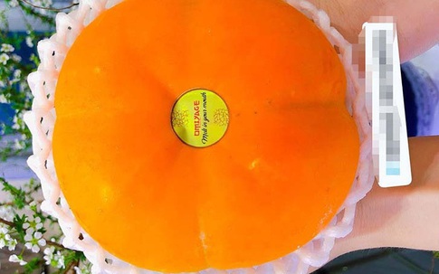 Hồng Nhật khổng lồ thơm mùi sữa, 1 triệu đồng/quả vẫn 'cháy hàng'