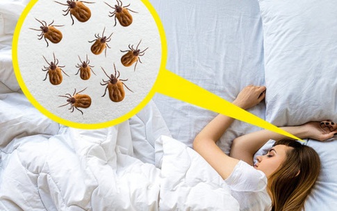 6 cách vệ sinh sai lầm cần dừng ngay lập tức