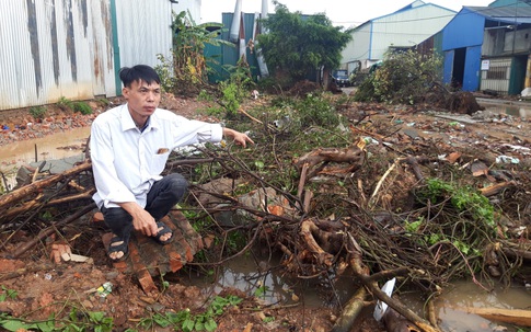 Mức án mà kẻ phá hủy vườn cây cảnh trị giá gần nửa tỷ đồng ở Hà Nội có thể phải đối diện
