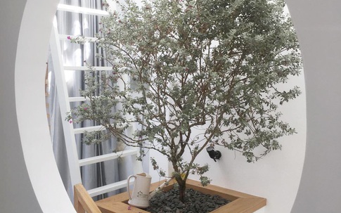 Nhà phố 38m² trong hẻm nhỏ đẹp không kém nhà trong phim ở Quận Gò Vấp, TP. HCM