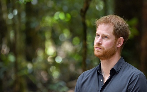 Harry lần đầu thừa nhận cuộc sống hoàn toàn bị đảo lộn sau khi rời hoàng gia nhưng không trách Meghan Markle