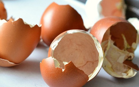 Biết được 5 công dụng này của vỏ trứng bạn sẽ không nỡ vứt chúng đi nữa
