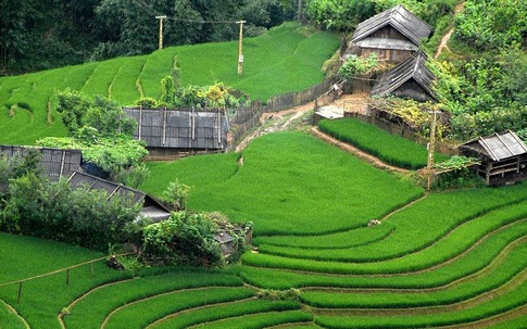 Thâm cung bí sử (213 - 2): Một năm và một chữ