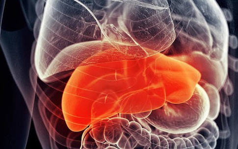 Nắng nóng kỉ lục chớ lo, bảo vệ sức khỏe gan cả nhà đã có Boganic