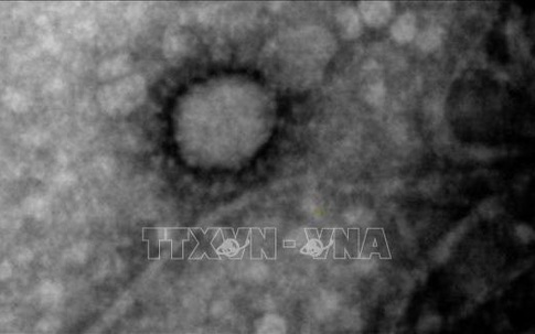 Phát hiện triệu chứng 'ngón chân SARS-CoV-2'