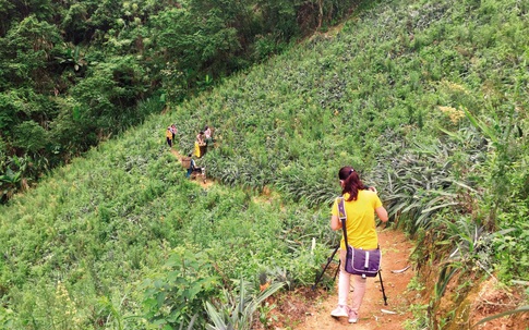 Những nhà báo tiên phong nơi tuyến đầu chống dịch