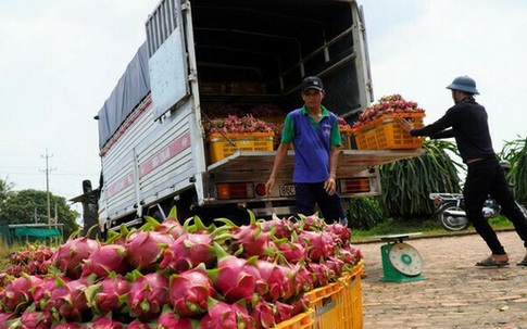 Từ tháng 8/2020, người Hà Nội không cần dùng tiền mặt khi đi chợ