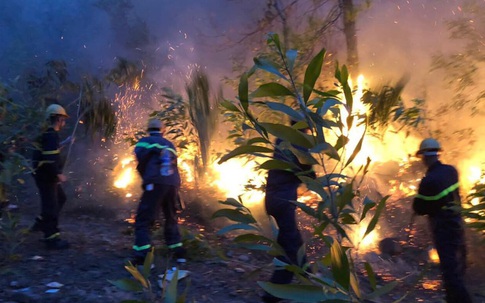 Hàng ngàn người dân Nghệ An nhiều ngày thức trắng, căng mình cứu rừng giữa biển lửa
