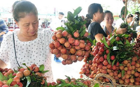 309 thương nhân vào Việt Nam mua vải thiều có tạo gánh nặng lên ngành y tế khi COVID-19 chưa kết thúc?