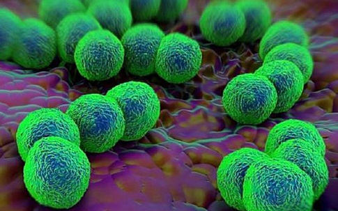 Phát hiện chất mới có thể tiêu diệt siêu vi khuẩn kháng thuốc