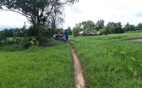 Phú Thọ: Thiếu nữ 18 tuổi tử vong bất thường ngoài cánh đồng