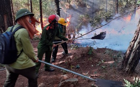 Nghi có yếu tố phá hoại khiến cháy rừng liên tiếp ở Nghệ An, triệu tập một số đối tượng