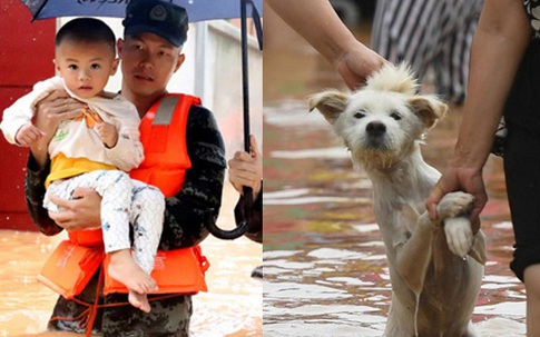 Trẻ em được giải cứu; riêng chó, mèo, lợn, gà, động vật hoang dã tự chạy trốn trong mưa lũ ở Trung Quốc