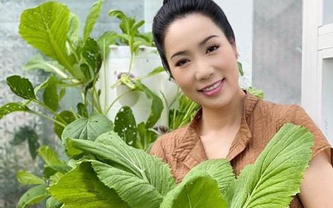 Vườn rau ăn không xuể trong biệt thự 200m2 của Á hậu Trịnh Kim Chi, ngạc nhiên nhất là chi phí đầu tư chỉ... 3 triệu đồng