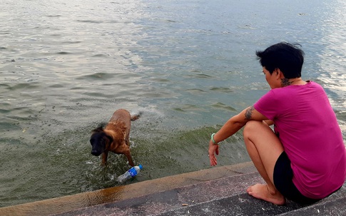 Hà Nội nắng nóng đỉnh điểm: Người và thú cưng đổ xuống hồ Tây tắm giải nhiệt