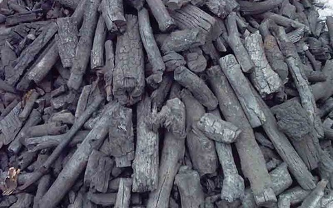 Đặt than củi vào lò vi sóng, điều kỳ diệu xảy ra sau vài ngày sẽ khiến bạn hối hận vì không làm điều này sớm hơn