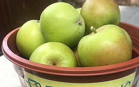 Kỳ cục suýt bị phạt vì mời mọi người ăn táo