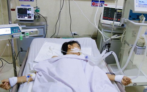Phú Thọ: Nam thiếu niên bị rắn độc cắn đến liệt cơ hô hấp