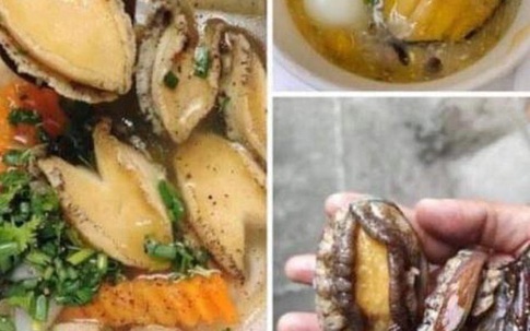 Bào ngư đại gia giá bình dân: Nhập từ Trung Quốc
