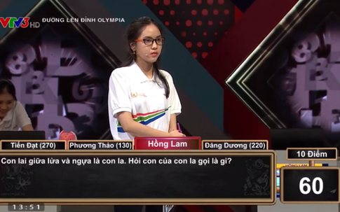 Câu đố Sinh học làm khó thí sinh Olympia: "Con lai giữa lừa và ngựa là con la. Vậy con của con la là gì?"