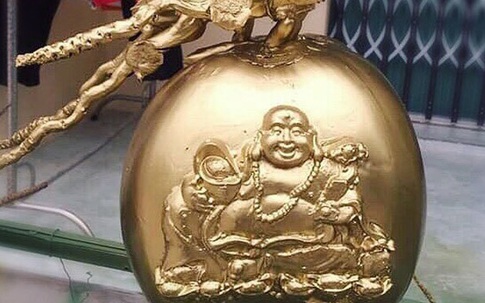 'Phật Di Lặc' hiện hình trên quả dừa, vàng rực giữa mùa Tết này