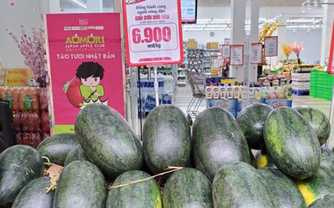 ‘Siêu thị muốn giải cứu nông sản nhưng không biết tìm hàng ở đâu’