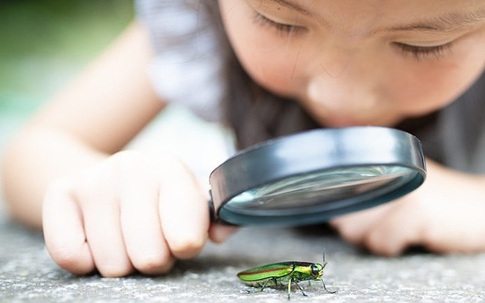 Ba điều cha mẹ phải làm cho con trước 13 tuổi