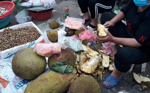 Mít mật, mít dai ruột vàng ruộm, múi dày, ngọt giá 25-30 ngàn đồng/kg bán khắp chợ dân sinh Hà Nội