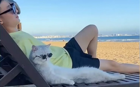 Boss mèo được sen dắt đi chơi khắp thế gian khiến dân mạng vừa ghen tị vừa phát cuồng vì quá sức đáng yêu