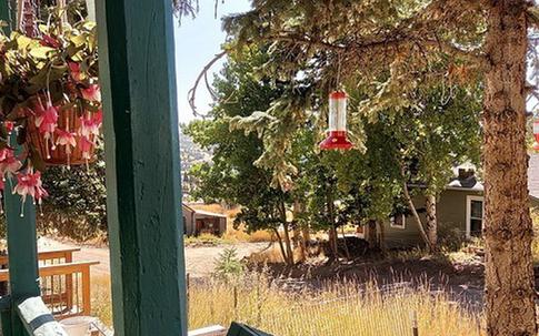 Chuyện nhói lòng phía sau sổ tiết kiệm 50 triệu đồng của người mẹ câm