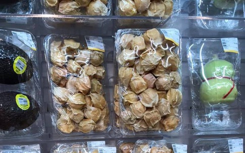Những loại cây quả mọc dại ở Việt Nam “bán không ai mua” nhưng sang nước ngoài lại có giá cực đắt, còn được săn lùng đến “cháy hàng”