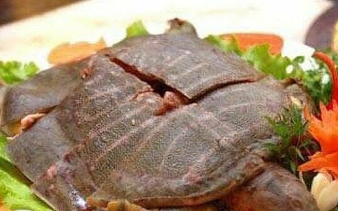 Suýt chết sau khi ăn ba ba