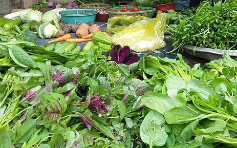 Rau xanh tăng giá mạnh