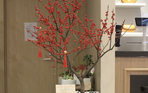 Kinh tế điêu đứng vì COVID nhưng dân Việt vẫn vung tiền mua đào đông đỏ nguyên cây về chơi Tết