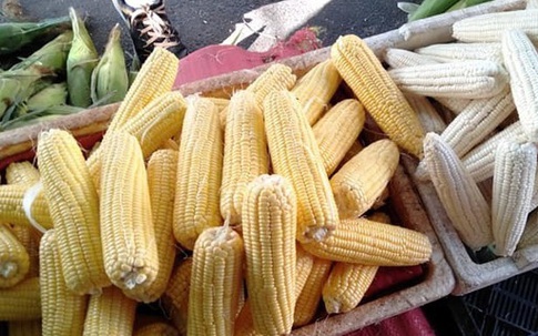 Vợ chồng trẻ Hà Nội vào Sài Gòn mở vựa buôn ngô, thu 30 triệu/tháng