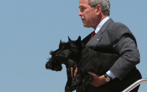 Chuyện ít biết về những “đệ nhất thú cưng” của các tổng thống Mỹ