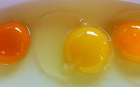 Muốn thấy sự khác biệt về dinh dưỡng hãy nhìn vào lòng đỏ trứng, màu càng đậm càng chứng tỏ điều này