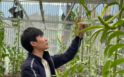 Vườn hoa phong lan nổi tiếng tại Vĩnh Phúc của chàng trai 9X – Nguyễn Văn Tùng