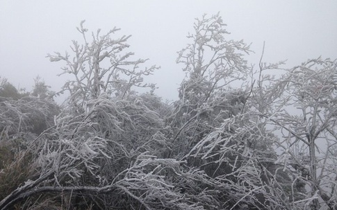 Sương mù giăng dài ngày, rét đậm bao giờ quay trở lại miền Bắc?